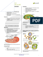 Biologia Fermentacao e Respiracao Celular v02 2