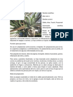 97561016-Plantas-Medicinales.docx