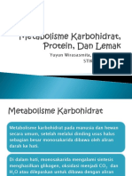 Hubungan Metabolisme Carbs, Amino, Protein.pptx