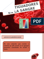 Amortiguadores de La Sangre