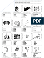 Islcollective Worksheets Elementary A1 Adults Body Parts Body Parts Works Plantilla Organs Multiple Choice 188974640258dc78d2eb5d99 97599505