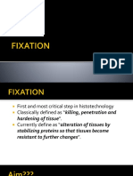 4 - Fixation