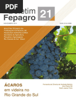 Boletim+Á-caros+-+Versão+Online