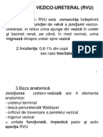 Refluxul Vezico Uretral