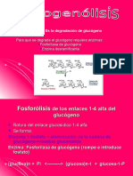 Glucogenolisis