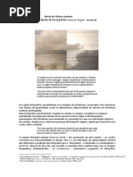 2013.Ynaiê Dawson.O viajante.pdf