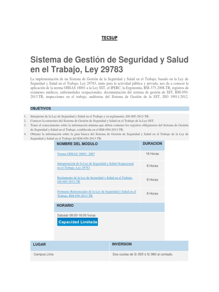 Sistema de Gestión de Seguridad y Salud en El Trabajo Varios | PDF ...