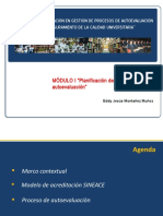 I - Planificación Proceso de Autoevaluación