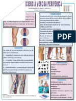 Cartel Insuficiencia