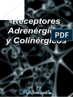 Receptores nerviosos Adrenérgicos y Colinérgicos.pdf
