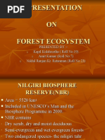 Presentation ON Forest Ecosystem