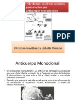 Generación de Hibridomas para Anticuerpos Monoclonales