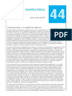 genetica basica.pdf