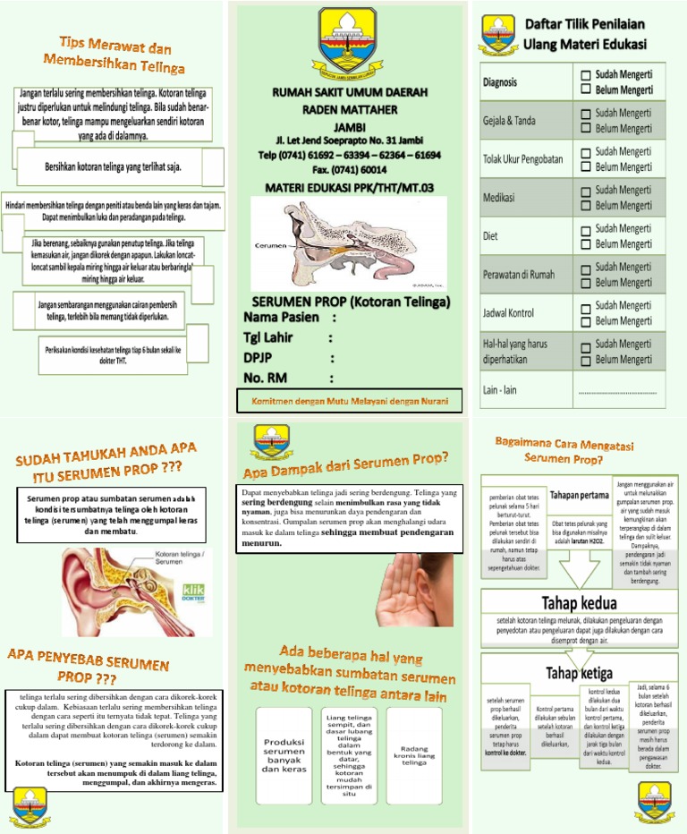 Earwax Blockage and Its Effects PDF