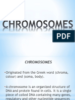 Chromosomes: The Blueprint of Life