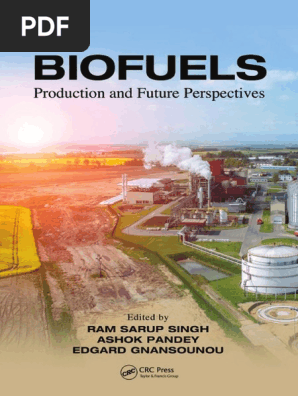 割引発見 and Production Biofuels, Future PDF | (2017) Perspectives ライト・ランタン