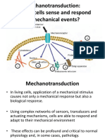 BM 1-6 Mechanotransduction