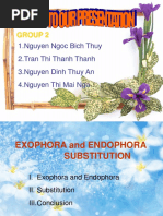 Exophora, Endophora, Substitution