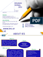 IES Company Profile