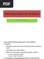 Transkripsi DNA