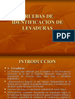 Identificacion de Levaduras