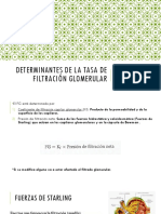 Determinantes de la tasa de filtración glomerular