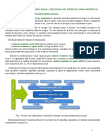 Curs 4 Biochimie Metabolismul Bazal Cheltuiala de Energie A Organismului