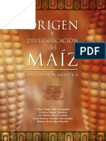 origen_div_maiz.pdf