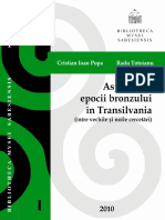 Cristian_Ioan_Popa_Radu_Totoianu_Aspecte.pdf
