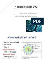 infeccincongnitaporvvzparaperinatal-140205180447-phpapp02
