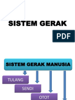 Sistem Gerak