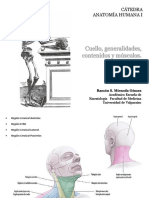 Cuello, Generalidades, Contenidos y Músculos 