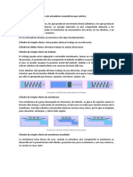 Tipos de Actuadores Neumáticos Que Existen