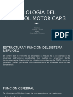 Control Motor Cap. 3