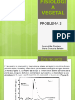 myslide.es_fisiologia-vegetal-problema-3.pptx