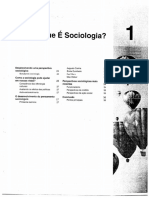giddens-o-que-c3a9-sociologia.pdf
