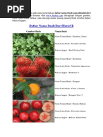 Download Nama Buah Dari Huruf R by alexaber SN354541892 doc pdf
