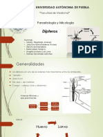 7.DIPTEROS