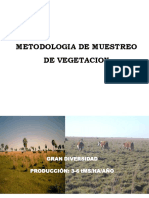 Medicion de La Vegetacion1