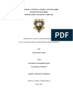 Juarez Gomez Mateo Tesis PDF