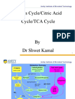 Kreb's Cycle/Citric Acid Cycle/TCA Cycle: Amity Institute of Microbial Technology
