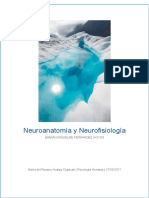 Neuroanatomia