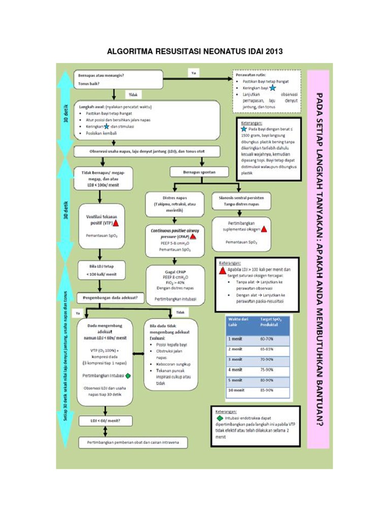 Algoritma resusitasi neonatus idai 2013 pdf