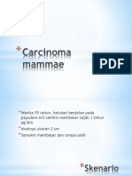 Carcinoma Mammae 24
