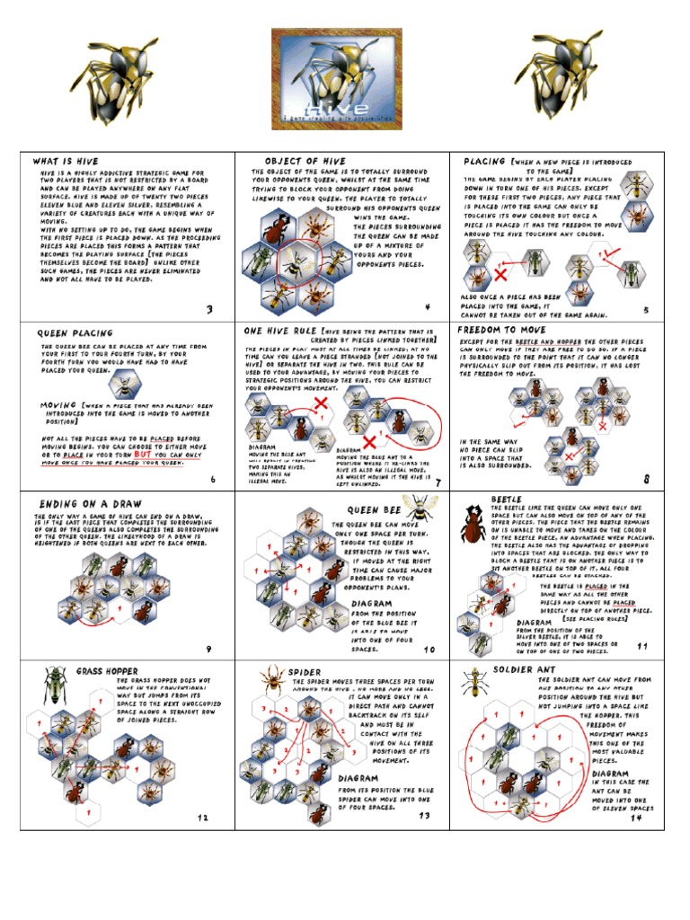 Hive Rules | PDF