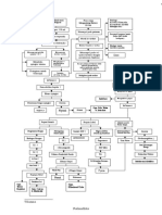 69360792-Pathway-Pielonefritis.pdf