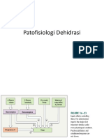 39251627-Patofisiologi-Dehidrasi.pptx