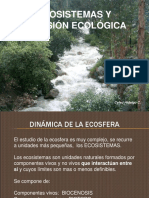 Ecosistemas y Sucesión Ecológica (C-9)