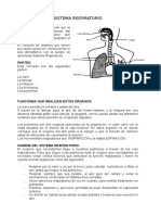 SISTEMA RESPIRATORIO - Docxgg