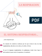 Sistema Respiratorio